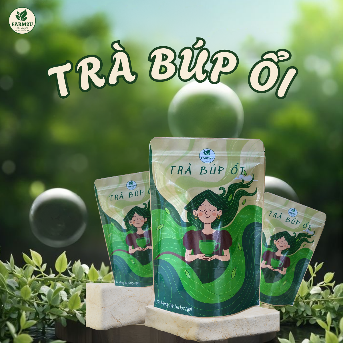 Trà Búp Ổi: Thức Uống Dân Dã Với Công Dụng "Vàng" Cho Sức Khỏe Tiêu Hóa và Vóc Dáng